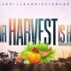 Your Harvest is Here